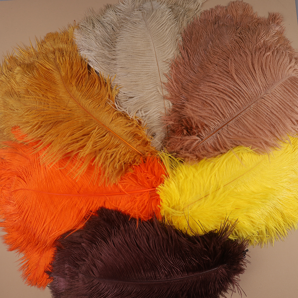 10pcs Ostrich Feathers for Cra - đánh giá và giá Feather Trim Marabou