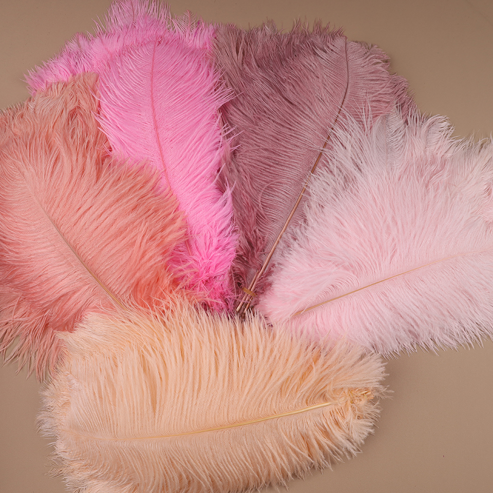10pcs Ostrich Feathers for Cra - đánh giá và giá Feather Trim Marabou