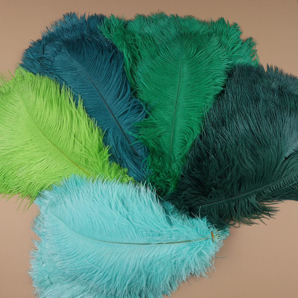 10pcs Ostrich Feathers for Cra - đánh giá và giá Feather Trim Marabou