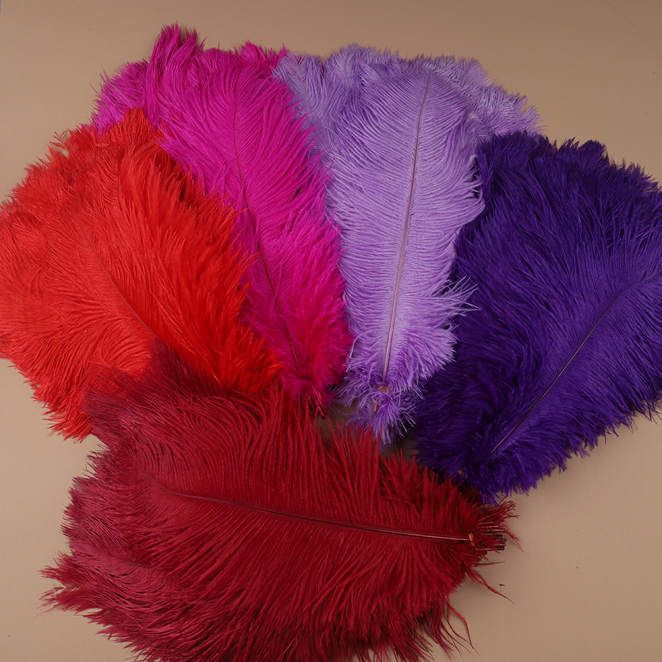 10pcs Ostrich Feathers for Cra - đánh giá và giá Feather Trim Marabou